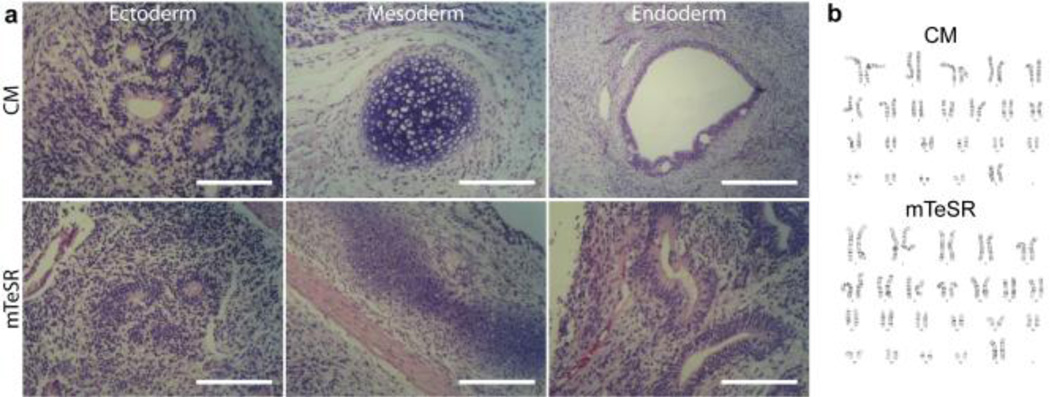 Fig. 7