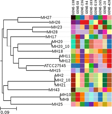 Fig. 4