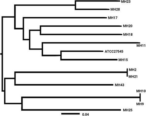 Fig. 2