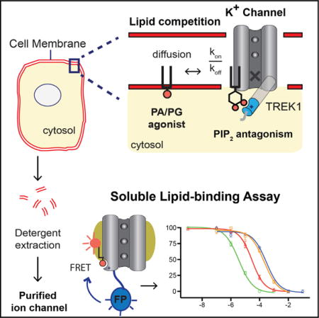 graphic file with name nihms897149u1.jpg