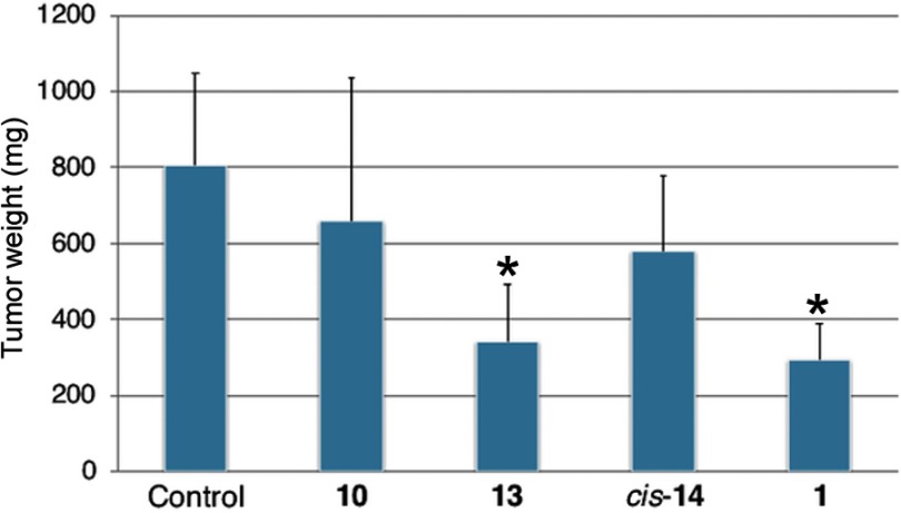 Figure 10