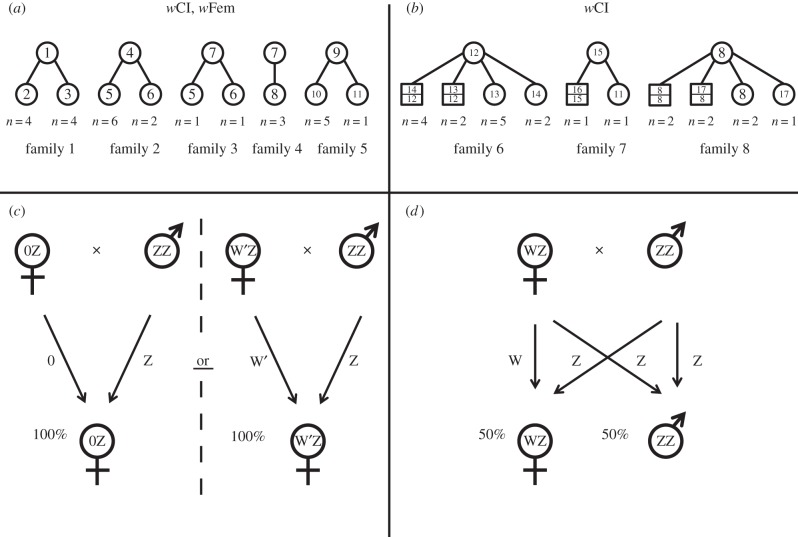 Figure 2.