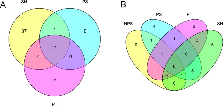 Fig 7