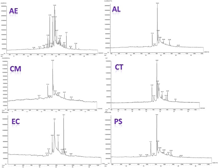 Figure 10