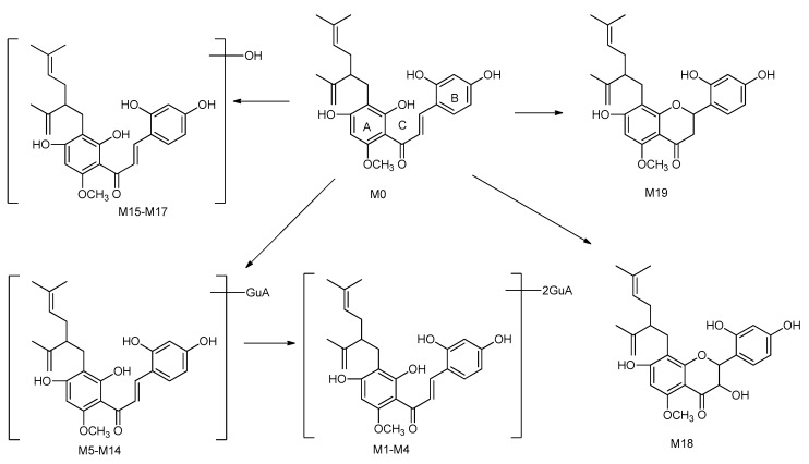 Scheme 2