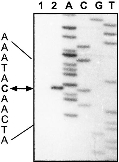 FIG. 7