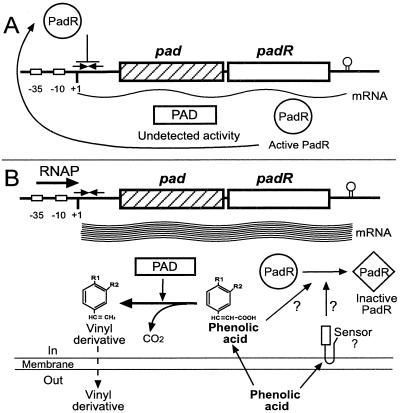 FIG. 9