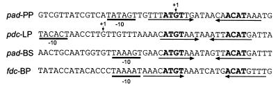 FIG. 8