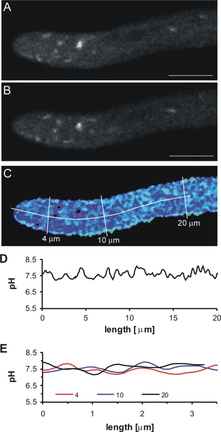 FIG. 4.