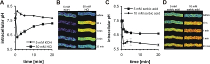 FIG. 6.