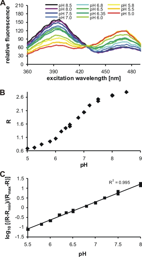 FIG. 1.