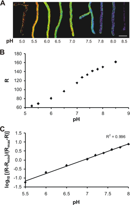 FIG. 3.