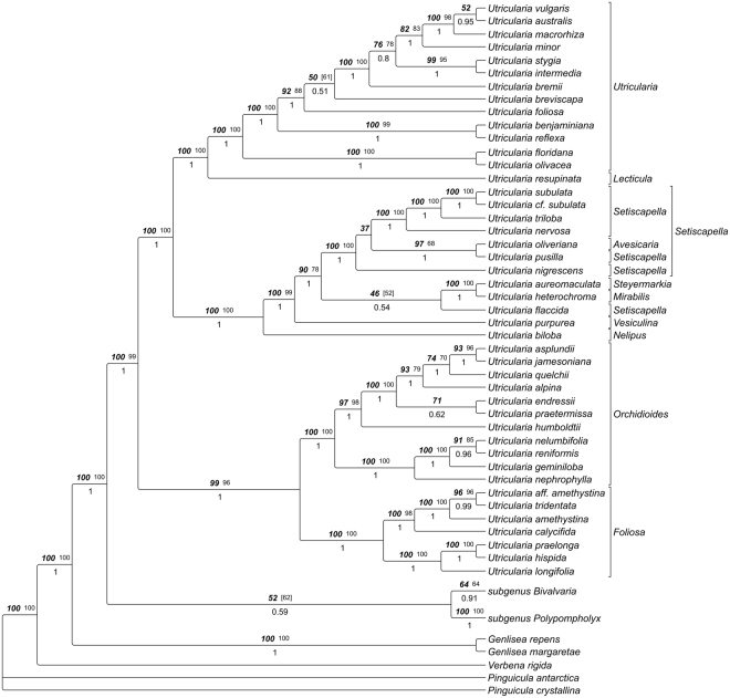 Figure 17