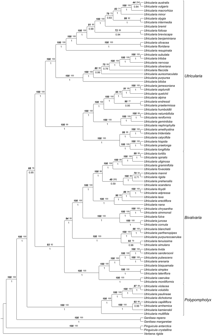 Figure 14