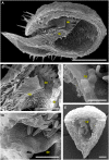 Figure 12