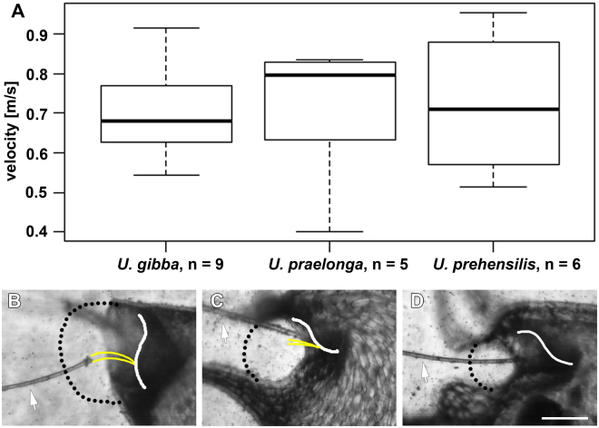 Figure 13