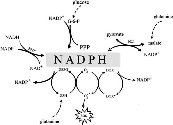 Figure 10