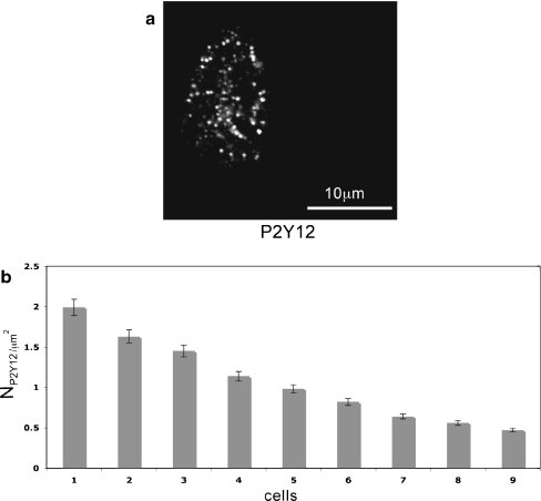 Fig. 7