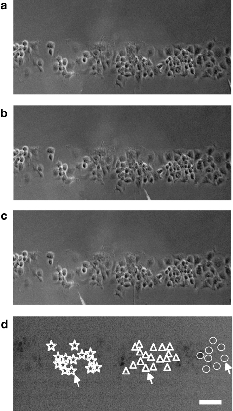 Fig. 10