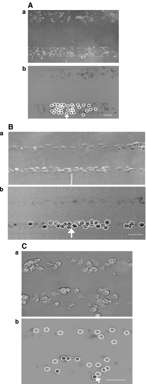 Fig. 4