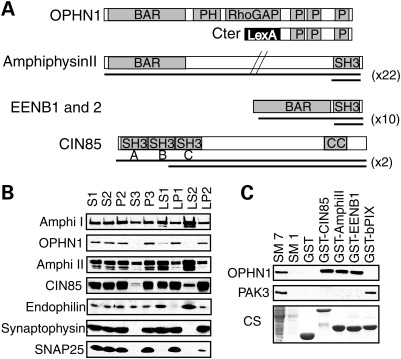 Figure 1.