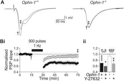 Figure 4.