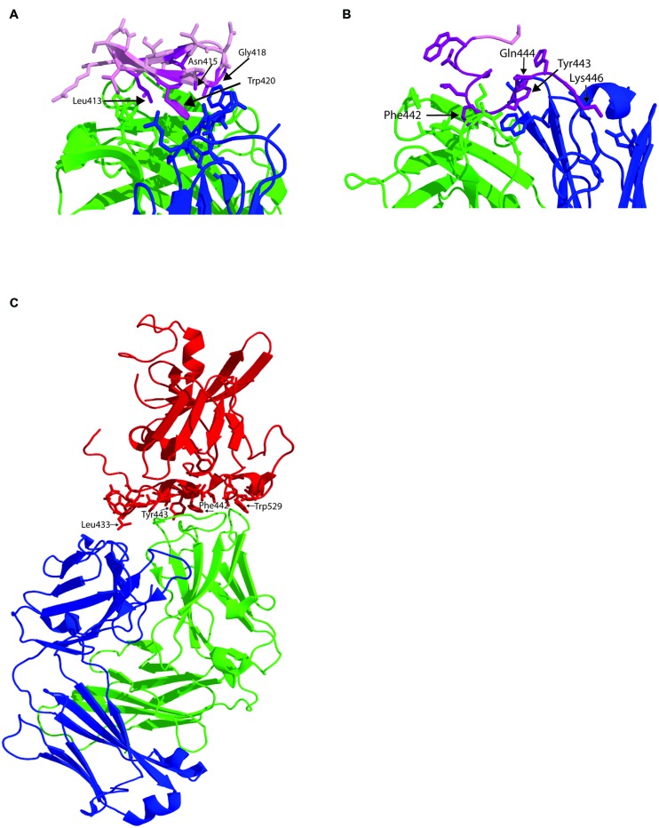 FIGURE 2