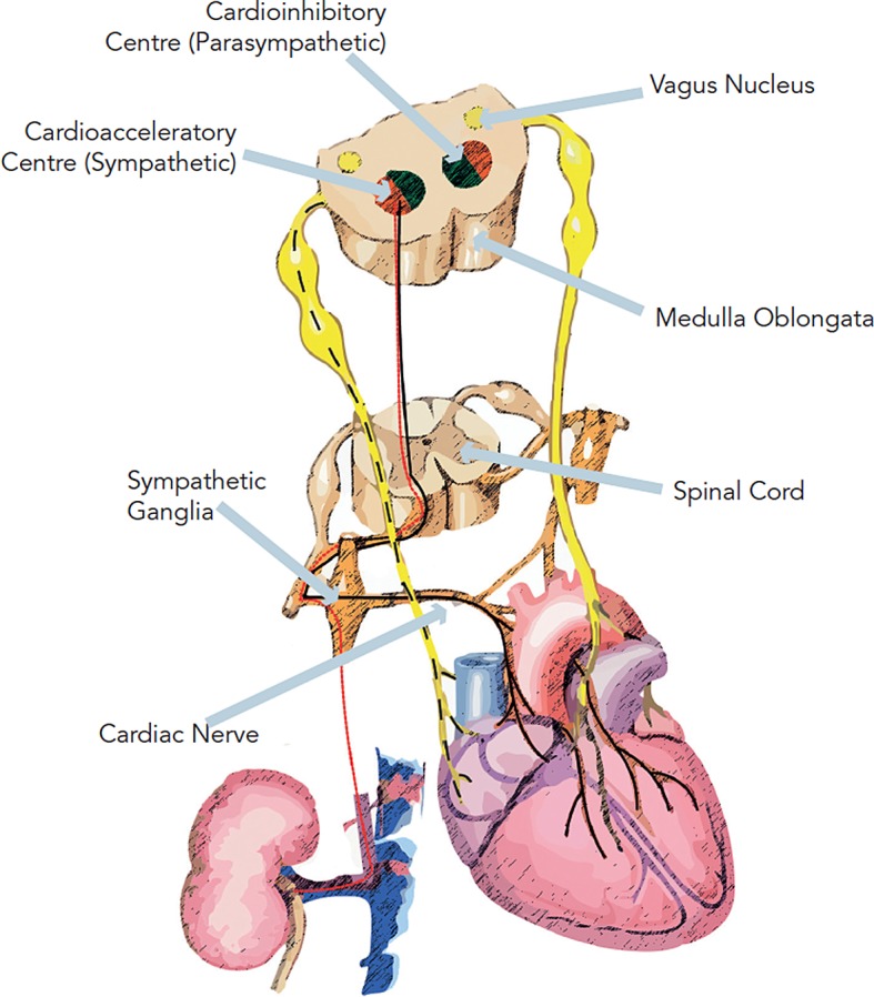 Figure 1: