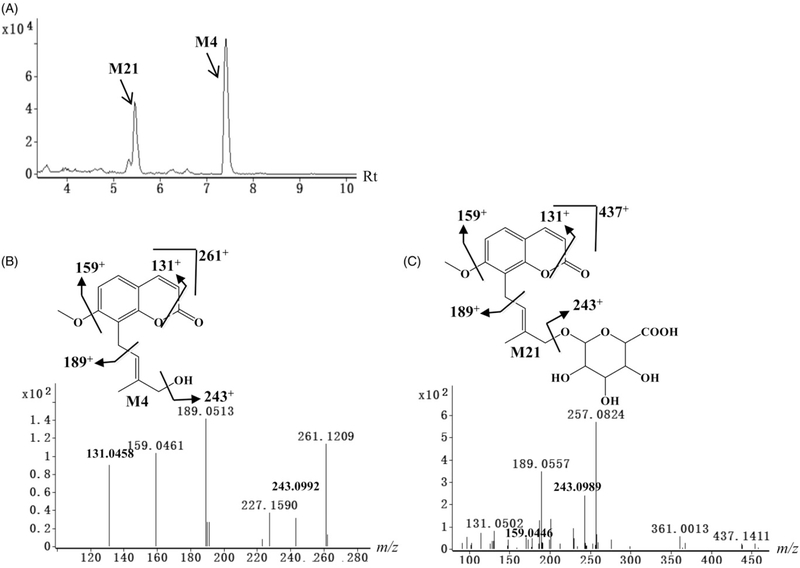 Figure 4.
