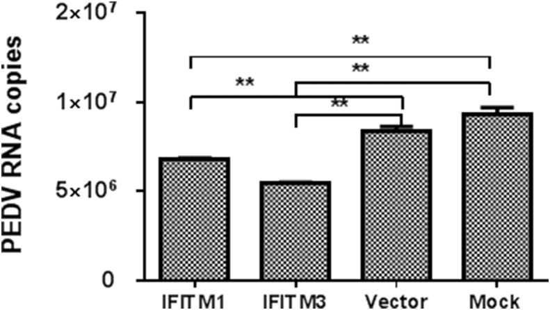 Fig. 6