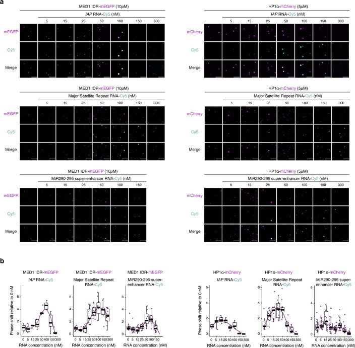 Extended Data Fig. 8