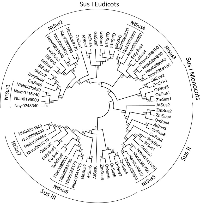 Fig. 4