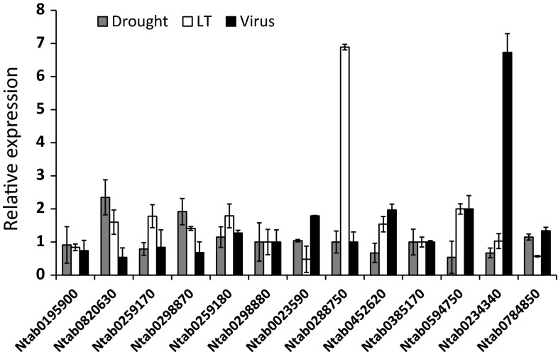 Fig. 7