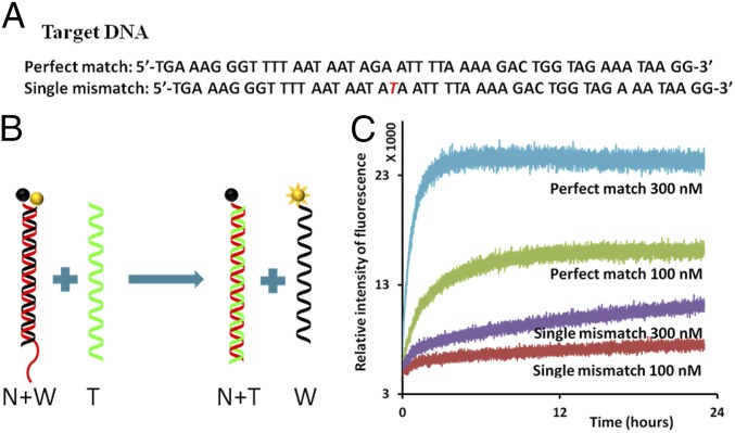 Fig. 2.