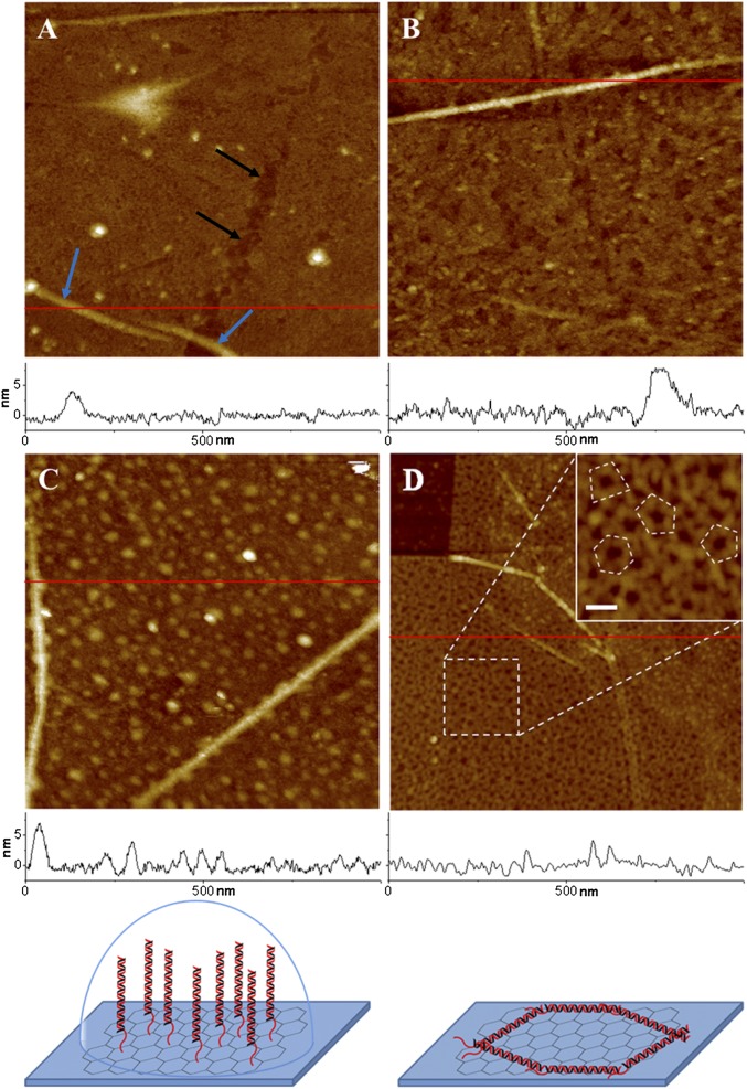 Fig. 3.