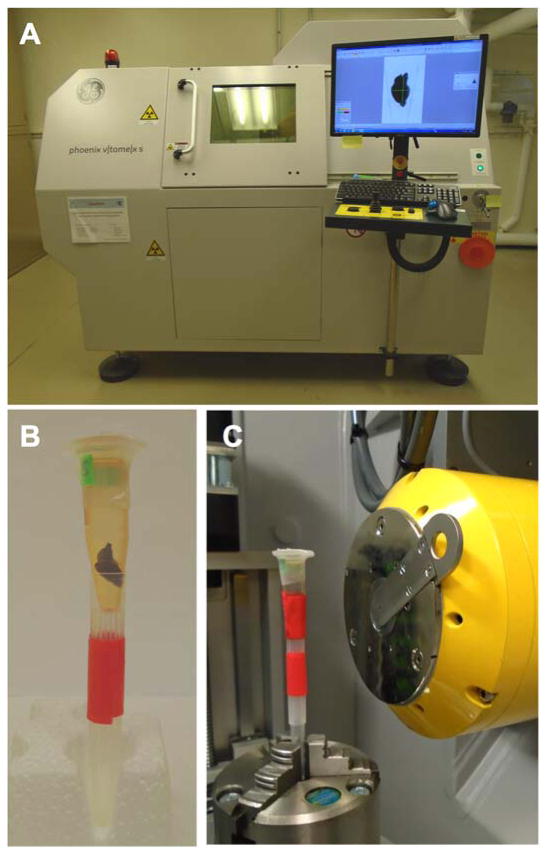 Fig. 1