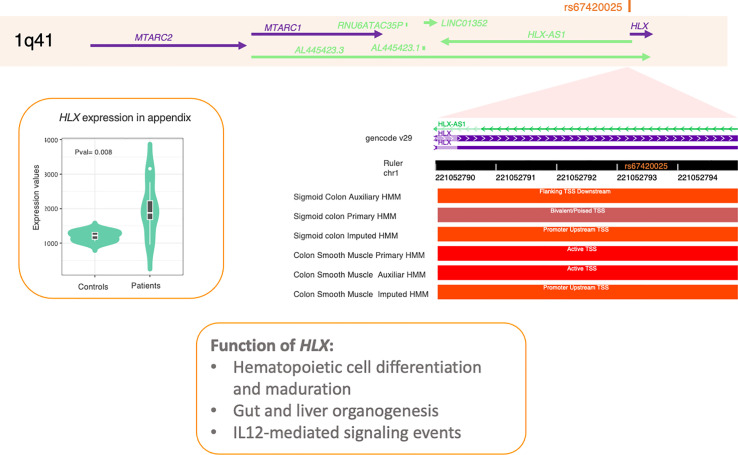 Figure 2