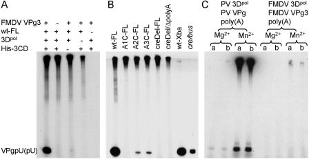 FIG. 7.