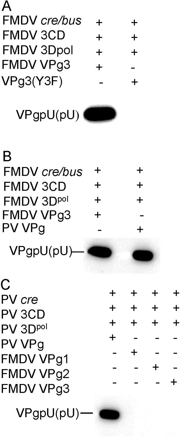 FIG. 6.