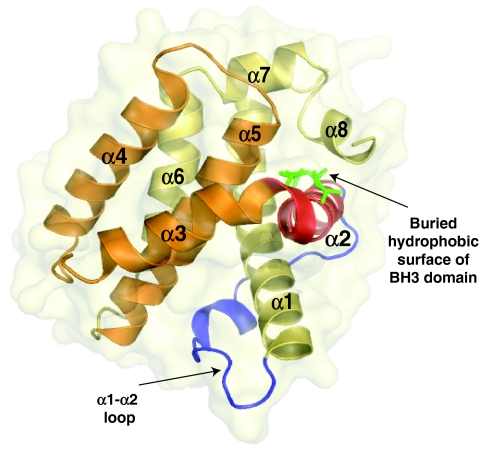 Fig. 4.