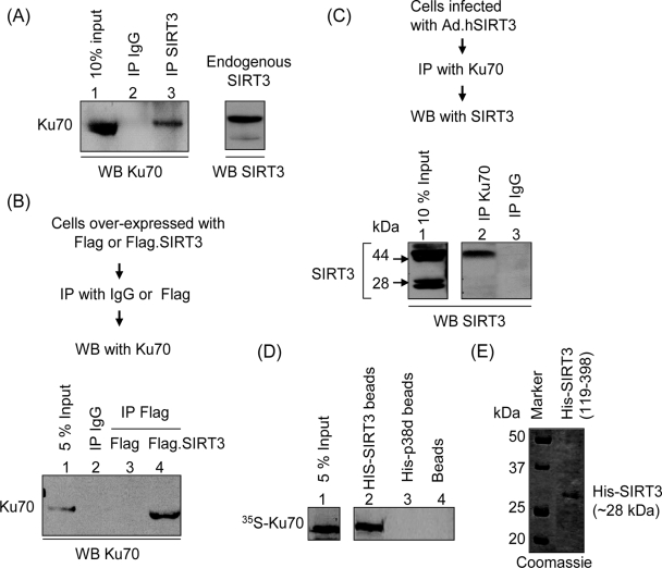 FIG. 8.