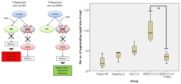 Extended Data Fig. 7