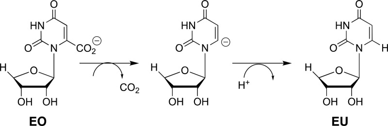 Scheme 4