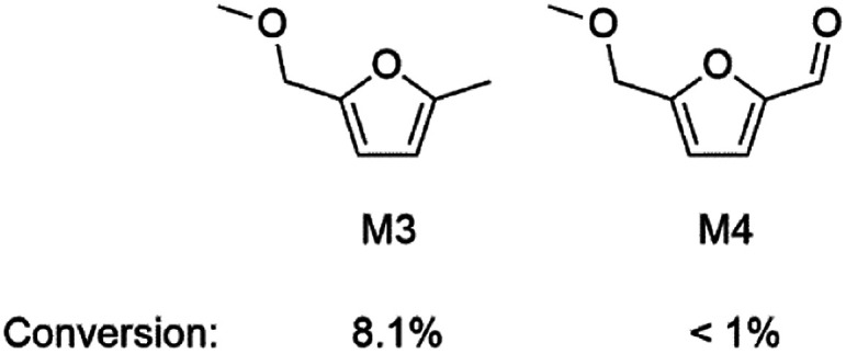 Scheme 5