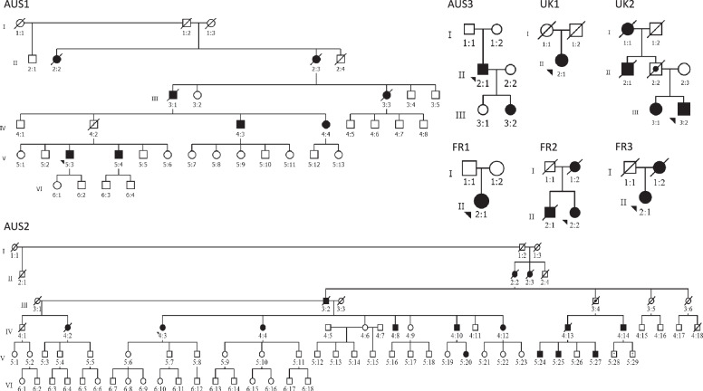 Fig. 1