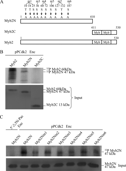 FIGURE 7.