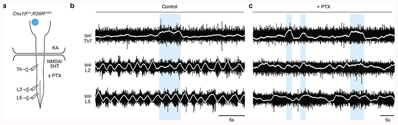 Extended Data Fig. 5