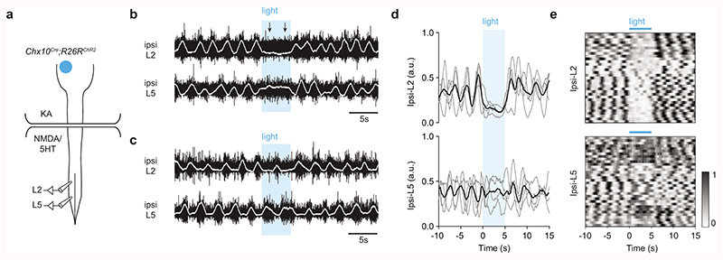 Extended Data Fig. 4