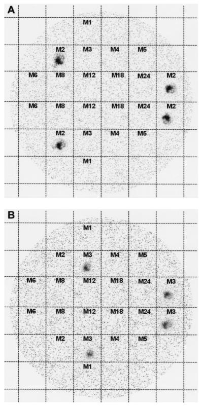 FIG. 3.