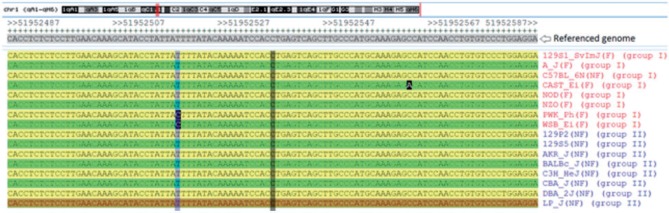 Figure 1.